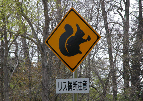 b0169987_2213551.jpg