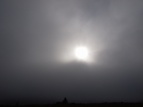 f0103688_20495447.jpg