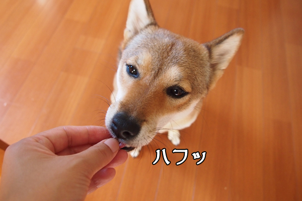 b0141397_1222149.jpg