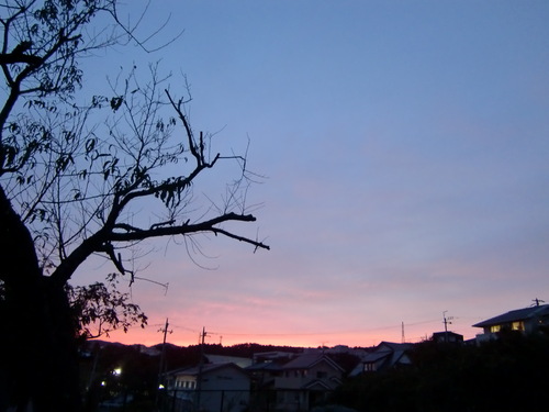 e0153000_13483541.jpg