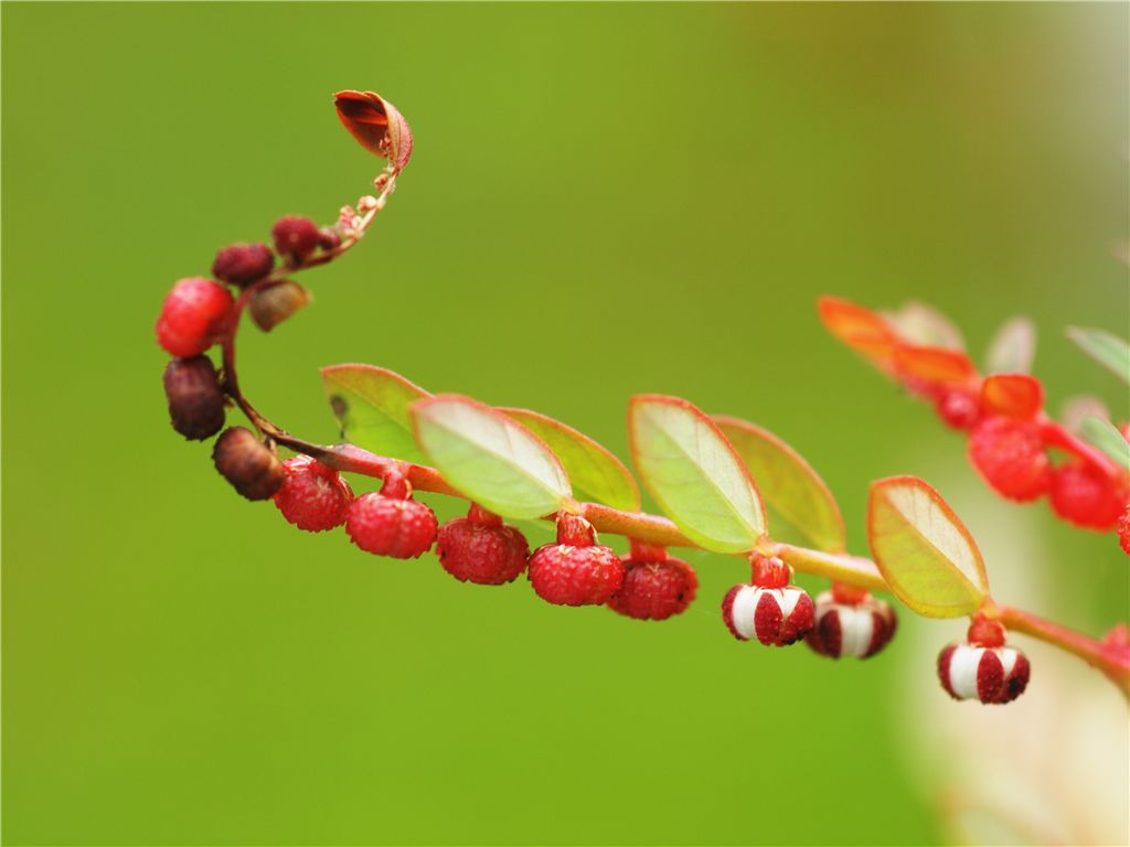 f0224100_2314535.jpg