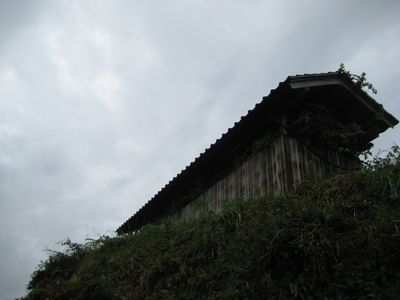 d0138203_19411754.jpg