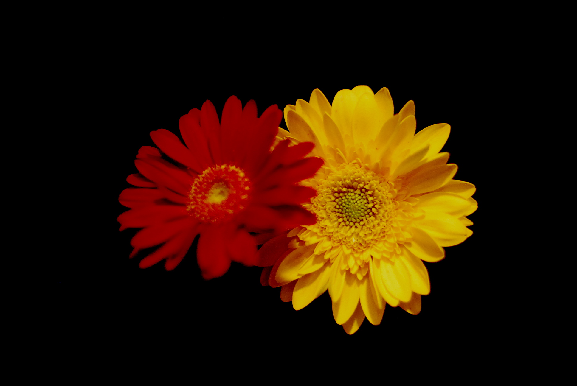 a0157704_233875.jpg