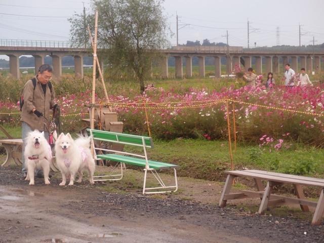e0018604_1526067.jpg