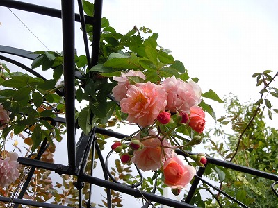 c0117007_2255092.jpg
