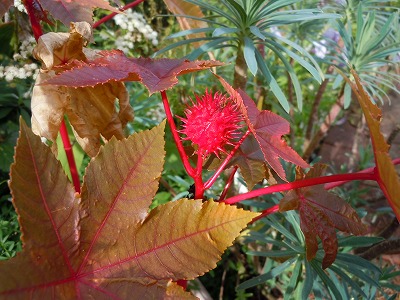 c0117007_227636.jpg