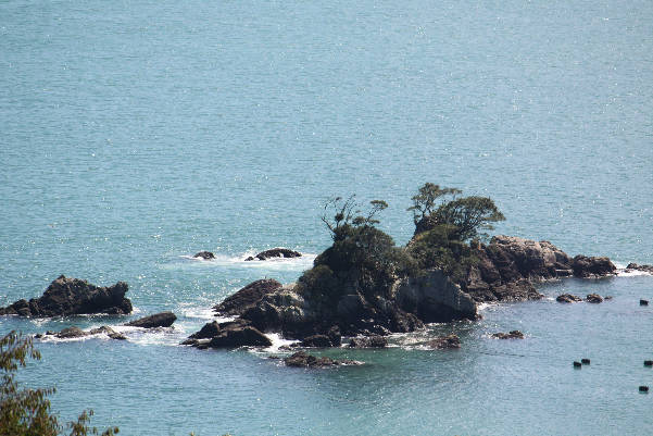 d0154609_928364.jpg