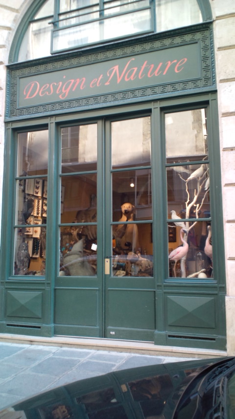 e0082110_21305496.jpg
