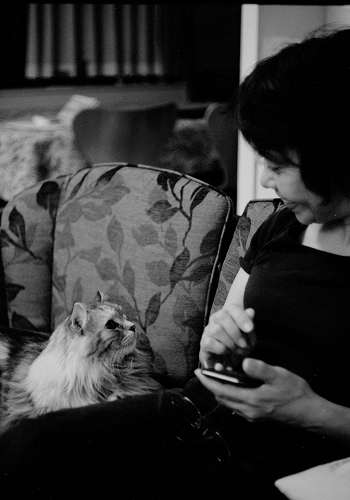 f:id:nekoshasin:20100705075039j:image f:id:nekoshasin:20100705075039j:image