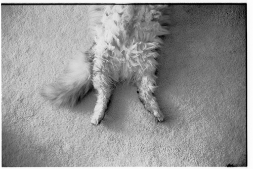f:id:nekoshasin:20100923205251j:image f:id:nekoshasin:20100923205251j:image