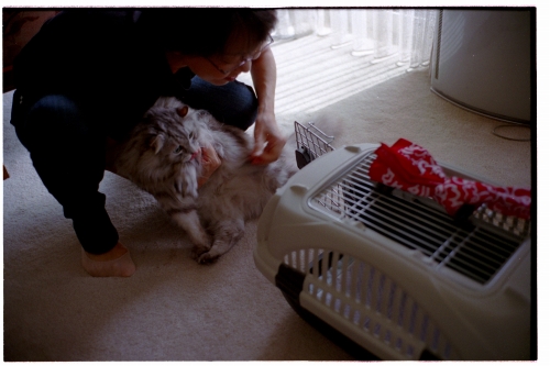 f:id:nekoshasin:20101110170124j:image f:id:nekoshasin:20101110170124j:image