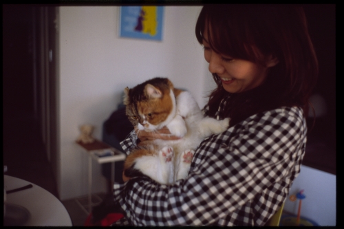 f:id:nekoshasin:20101207163430j:image f:id:nekoshasin:20101207163430j:image