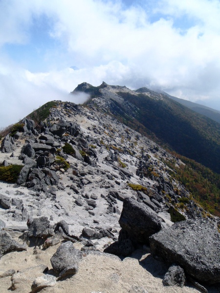 c0177814_15405649.jpg