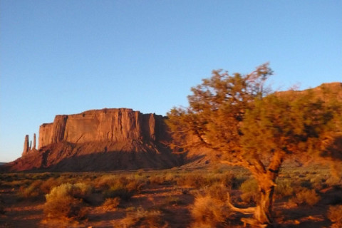 f0046614_9432773.jpg