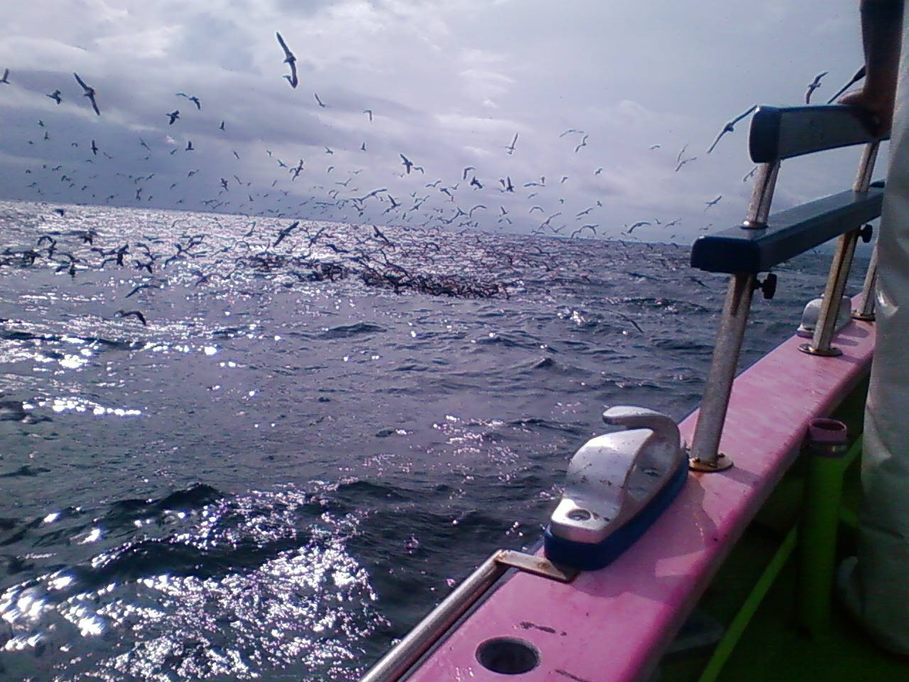e0125217_19501672.jpg