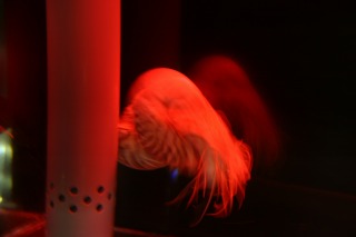 c0166720_10473531.jpg