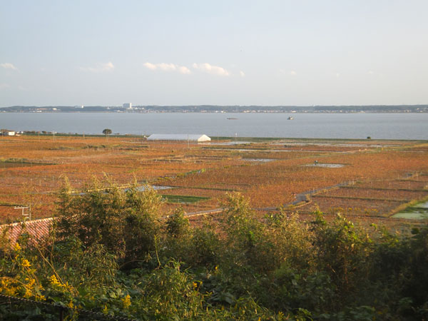 f0147025_22343712.jpg