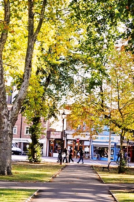 d0104926_1244527.jpg