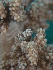 b0100730_2373599.jpg
