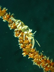 b0100730_2382150.jpg