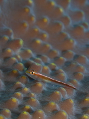b0100730_2384219.jpg