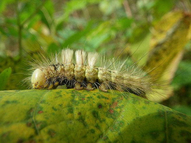 f0118332_23523269.jpg