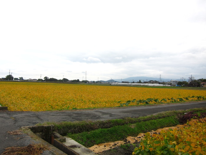 b0191633_23331850.jpg