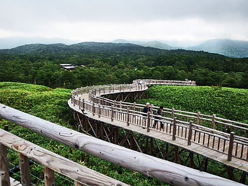 b0012636_23341490.jpg