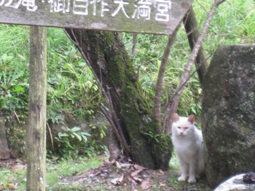 c0077338_20525139.jpg