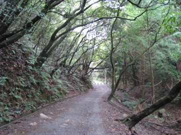 c0077338_205388.jpg