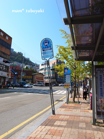 e0081339_22342339.jpg