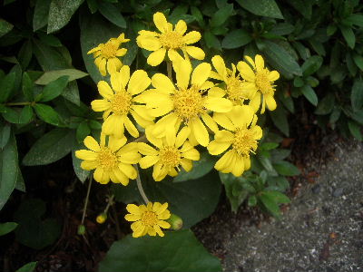 a0054240_20283375.jpg