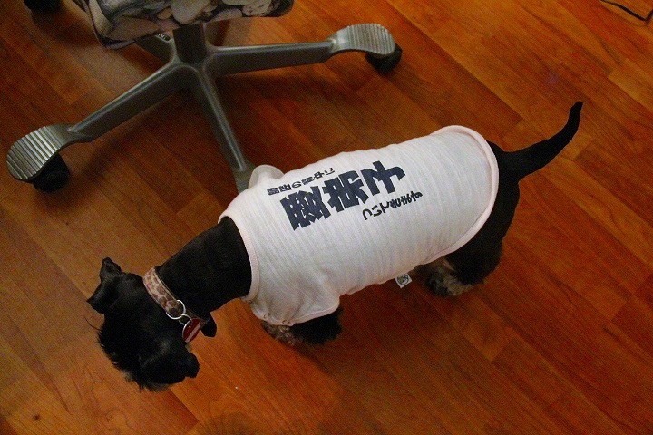 c0153740_18572147.jpg