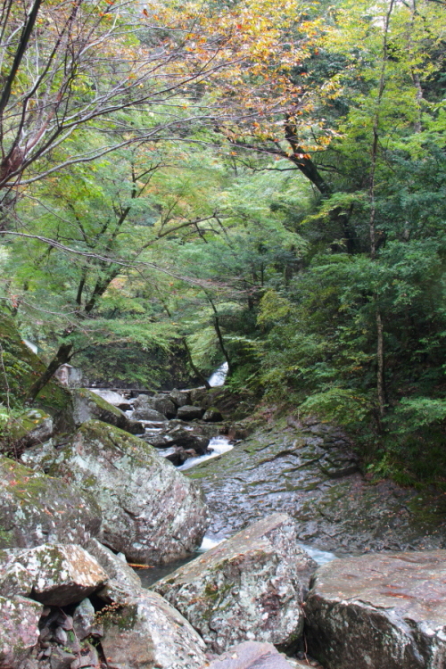 d0247340_20202592.jpg