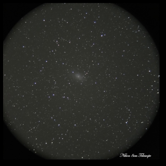 b0167343_0403064.jpg