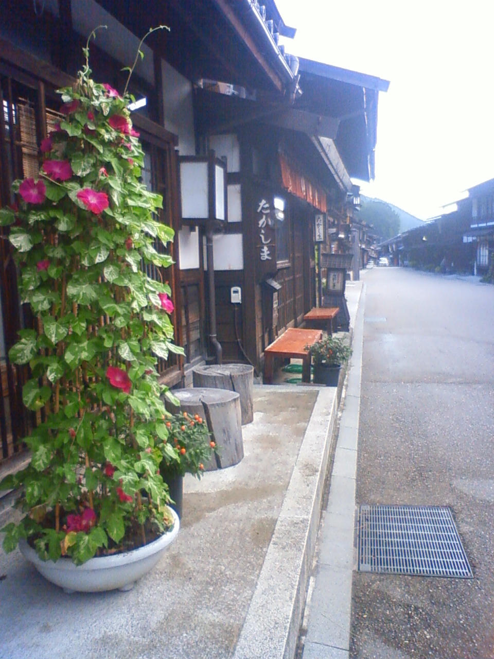 e0151944_0511846.jpg