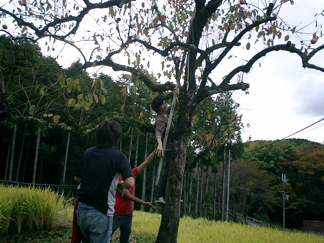 b0132746_22225632.jpg