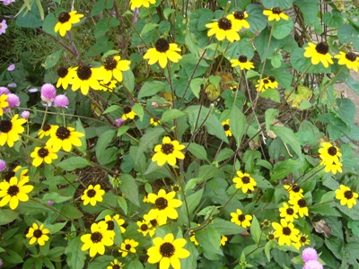 e0100046_17165758.jpg