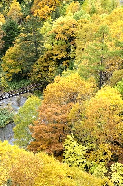 b0122448_10342447.jpg