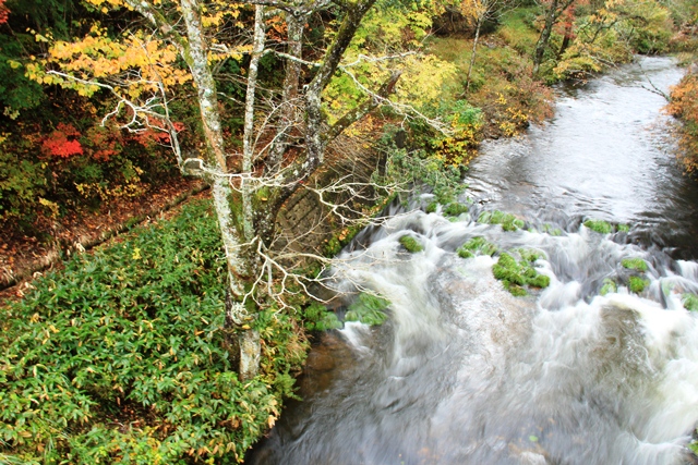 d0163550_2172911.jpg