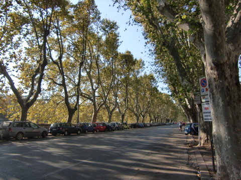 c0206352_423619.jpg