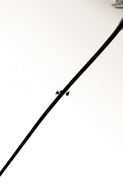 f0176353_20511639.jpg