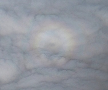 b0173754_1856128.jpg