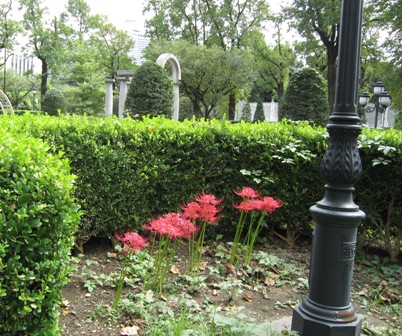 b0173754_19535882.jpg