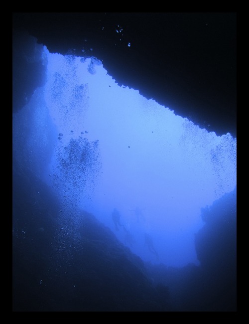 b0062363_8412428.jpg