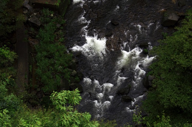 b0131167_2229362.jpg