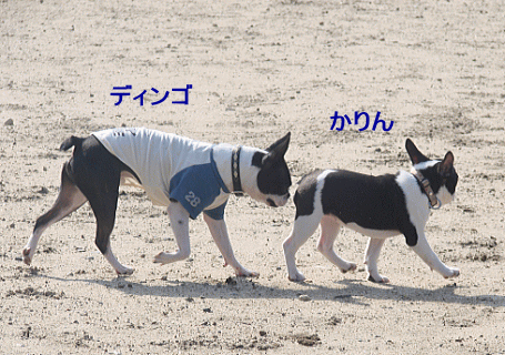 d0152869_22303177.gif