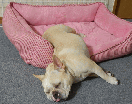 d0152869_233237.gif
