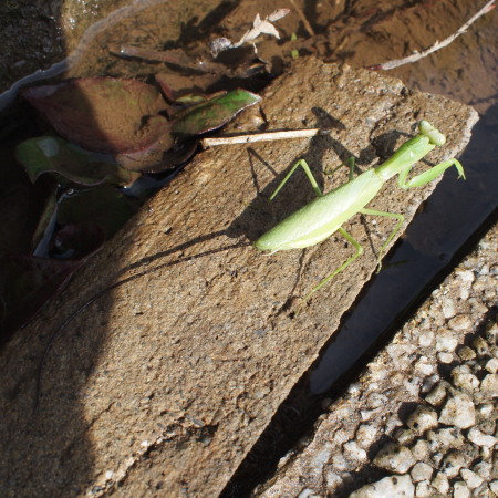 c0122670_22171739.jpg