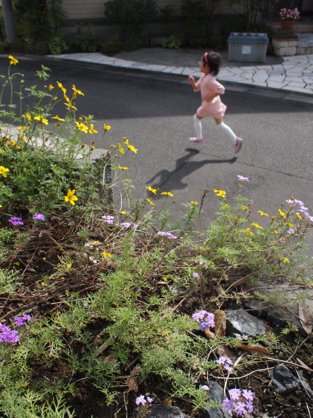 c0122670_22214338.jpg